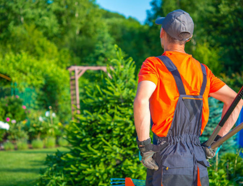 El cortacésped que todo profesional de jardinería necesita