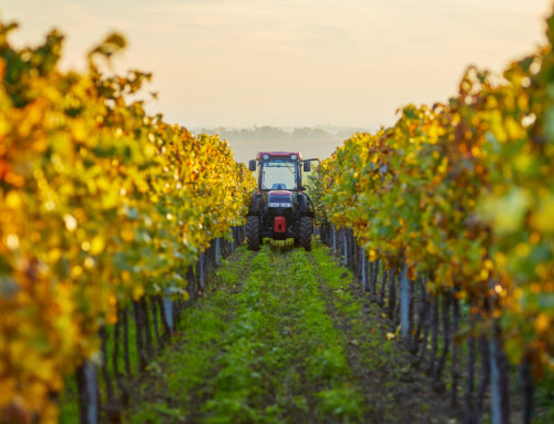 Maquinaria imprescindible en el proceso de elaboración de vino